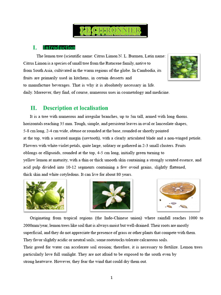 Benefits and Uses of Lemon Trees | PDF | Lemon | Trees
