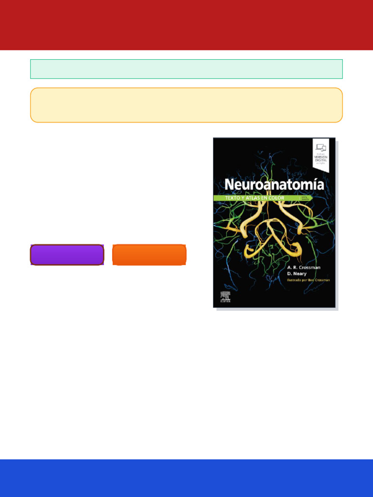 Descarga Neuroanatomía Texto y Atlas | PDF | Sinapsis | Neurona