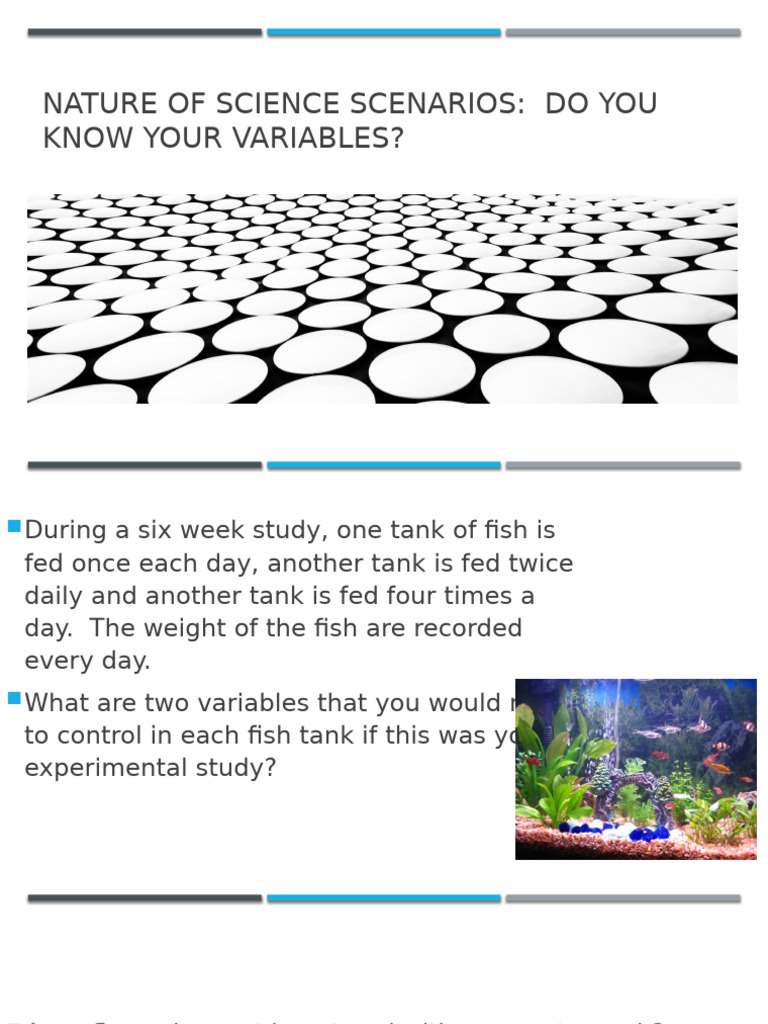 Understanding Variables in Science Experiments | PDF