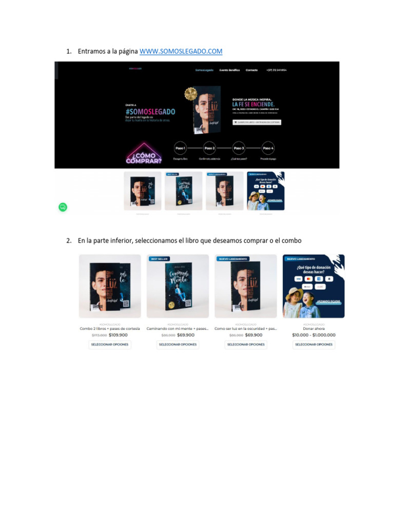 AGuia para Compra Exitosa PO | PDF