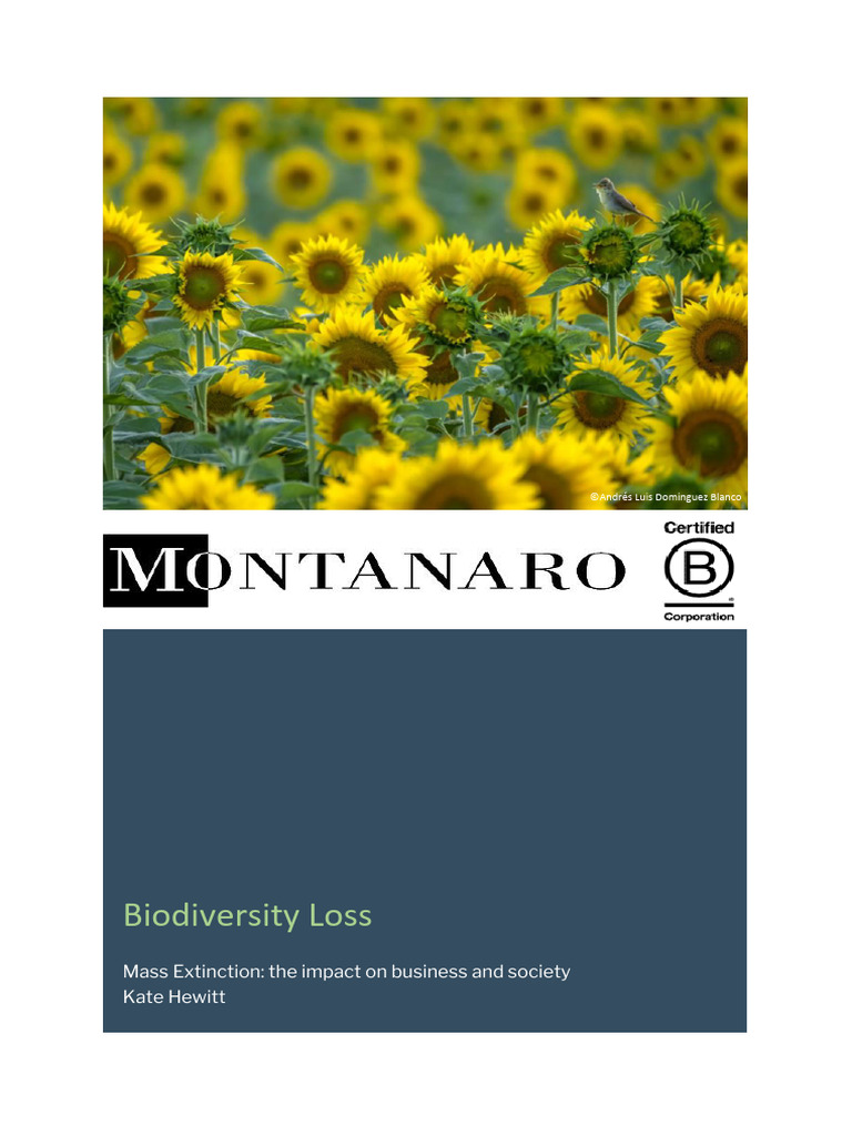 Biodiversity Crisis: Business Impacts | PDF | Biodiversity ...