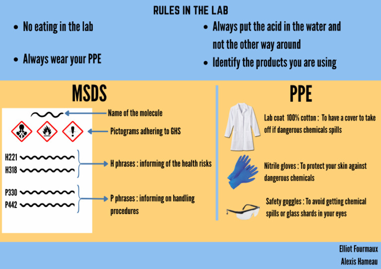 Rules in The Lab | PDF