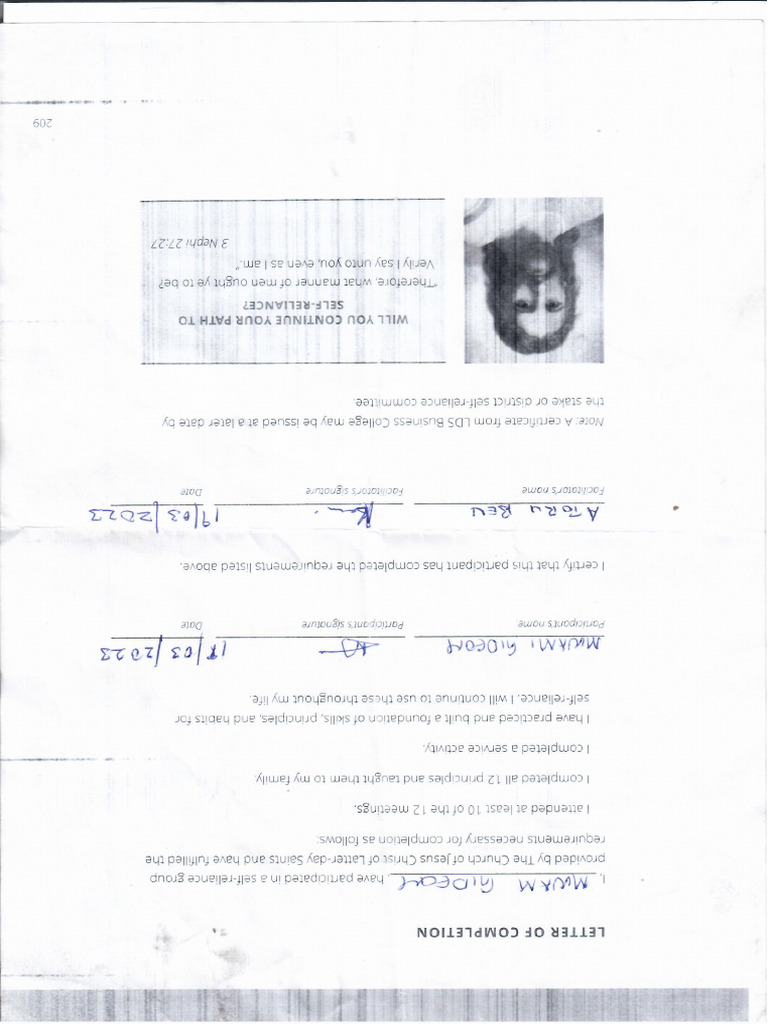 Scan | PDF