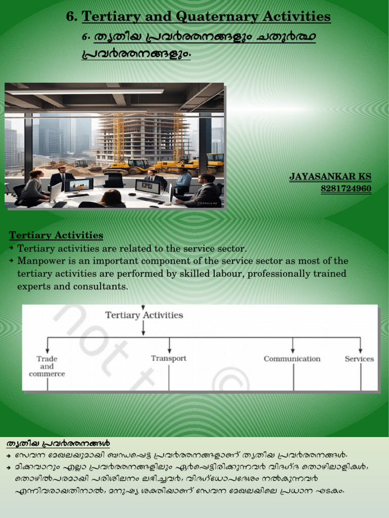 6 Tertiary and Quaternary Activities | PDF