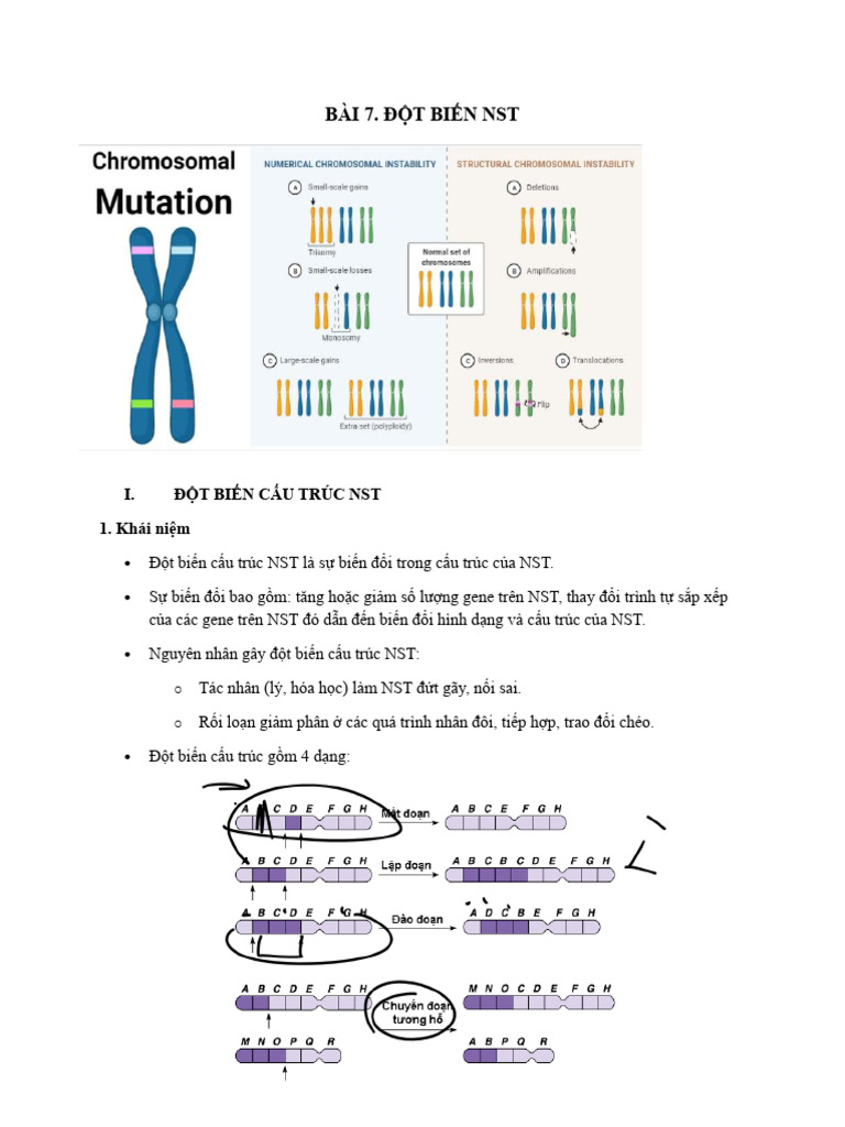 DB NST | PDF