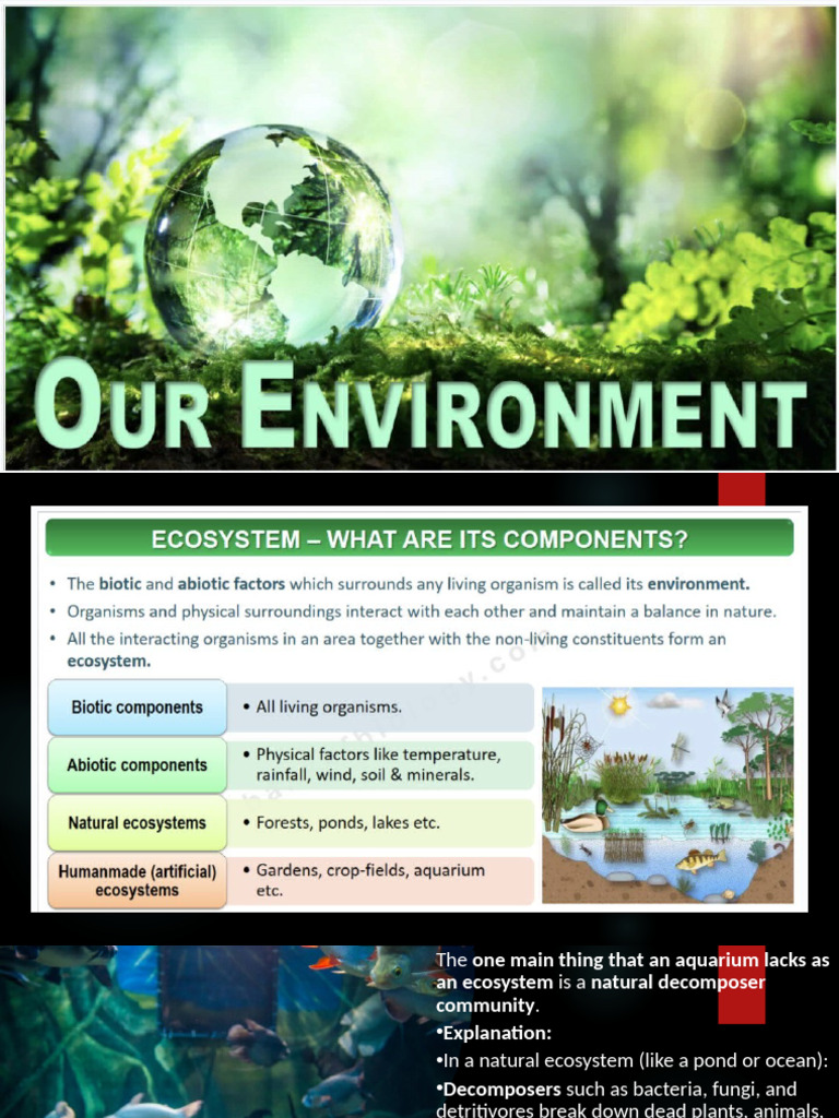Our Environment | PDF