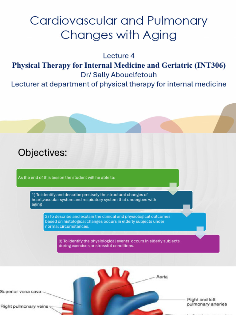 Aging Effects on Cardiovascular and Respiratory Systems | PDF | Heart ...