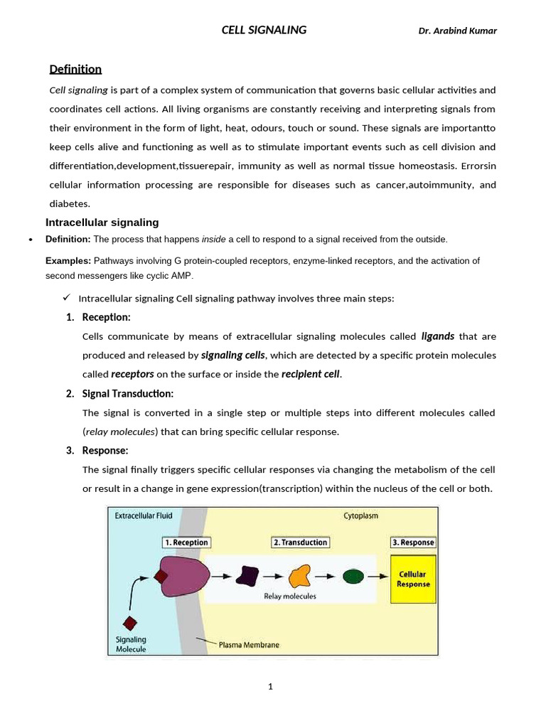 Understanding Cell Signaling Mechanisms | PDF | Cell Signaling | Signal ...