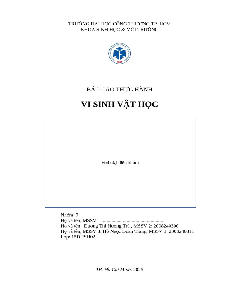Form Bao Cao TH VSV - K15 | PDF