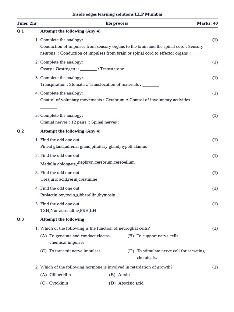Life Process Class Test | PDF | Root | Nervous System