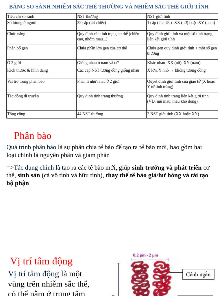 SHDT Note | PDF