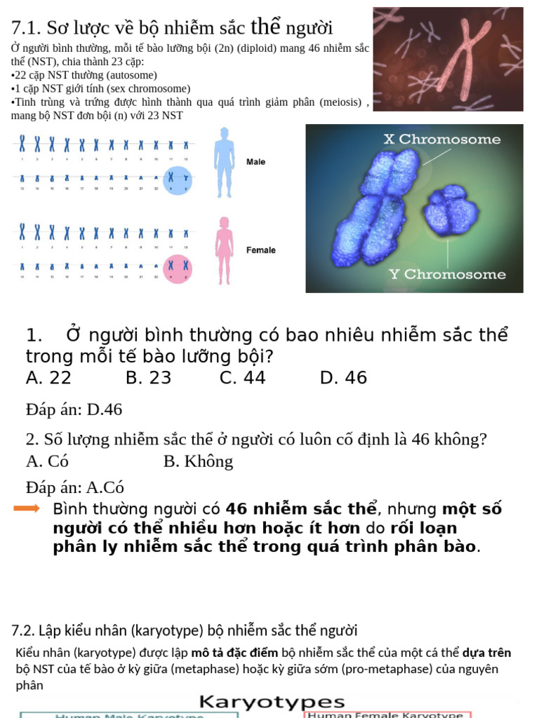 Bài 7 SHDT p1-2 | PDF