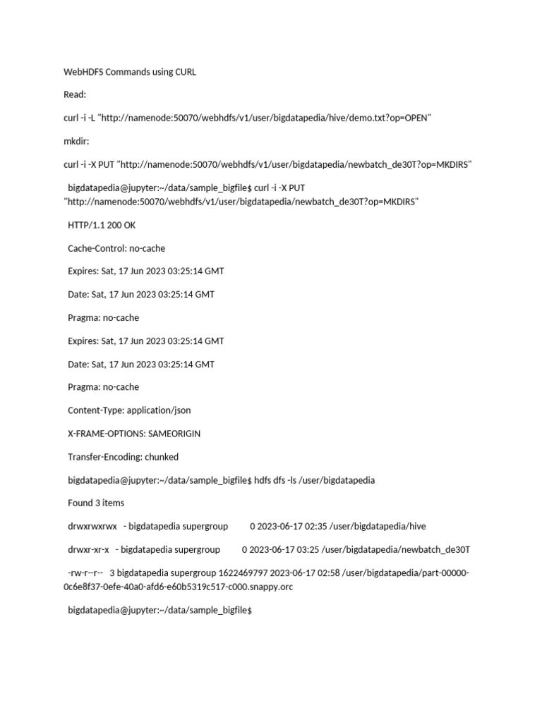 WebHDFS CURL Command Guide | PDF