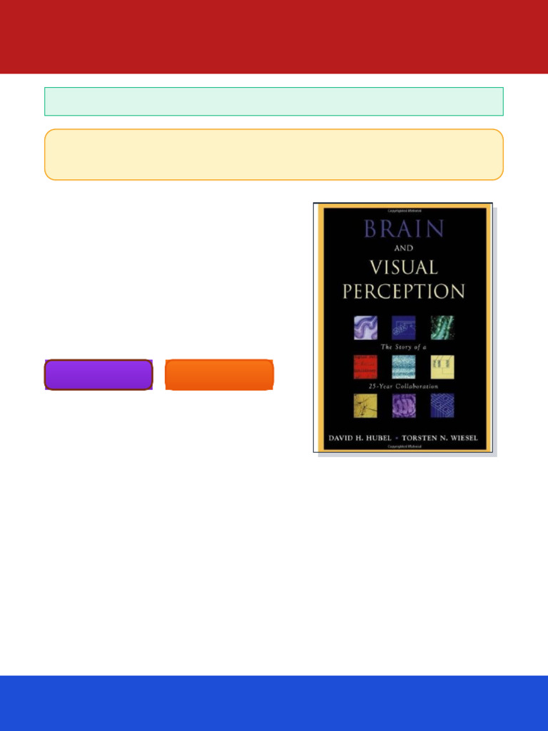 Brain and Visual Perception The Story of a 25 Year Collaboration 1st ...