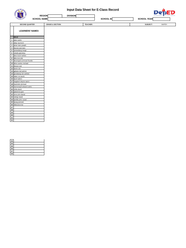E-Class Record Input Data Sheet | PDF