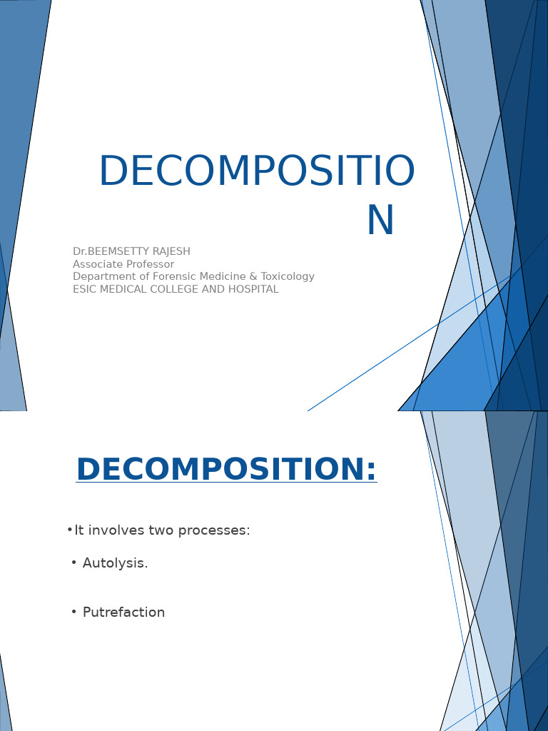 Understanding Decomposition Processes | PDF | Decomposition | Anatomy