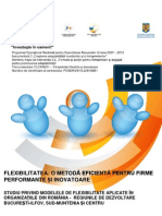 04 Raport Final Studiu Cantitativ Modele de Flexibilitate Aplicate in Organizatiile Din Romania