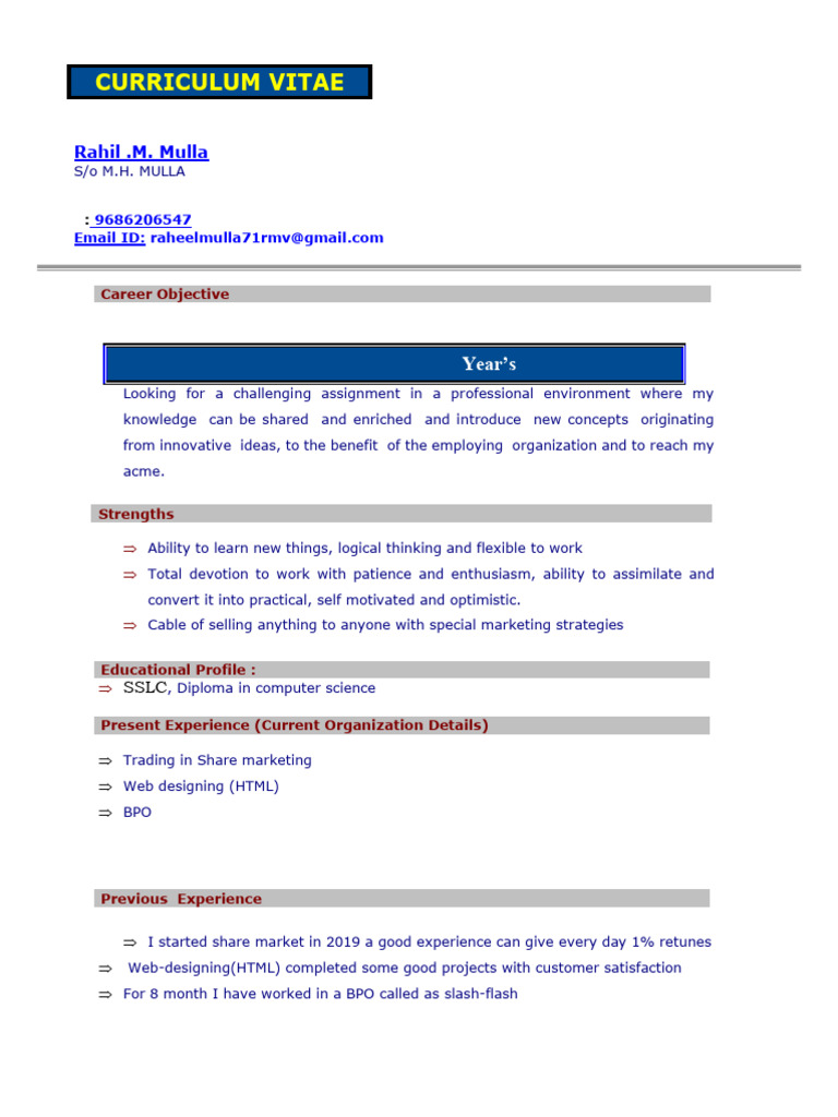Rahil Mulla's Professional CV | PDF