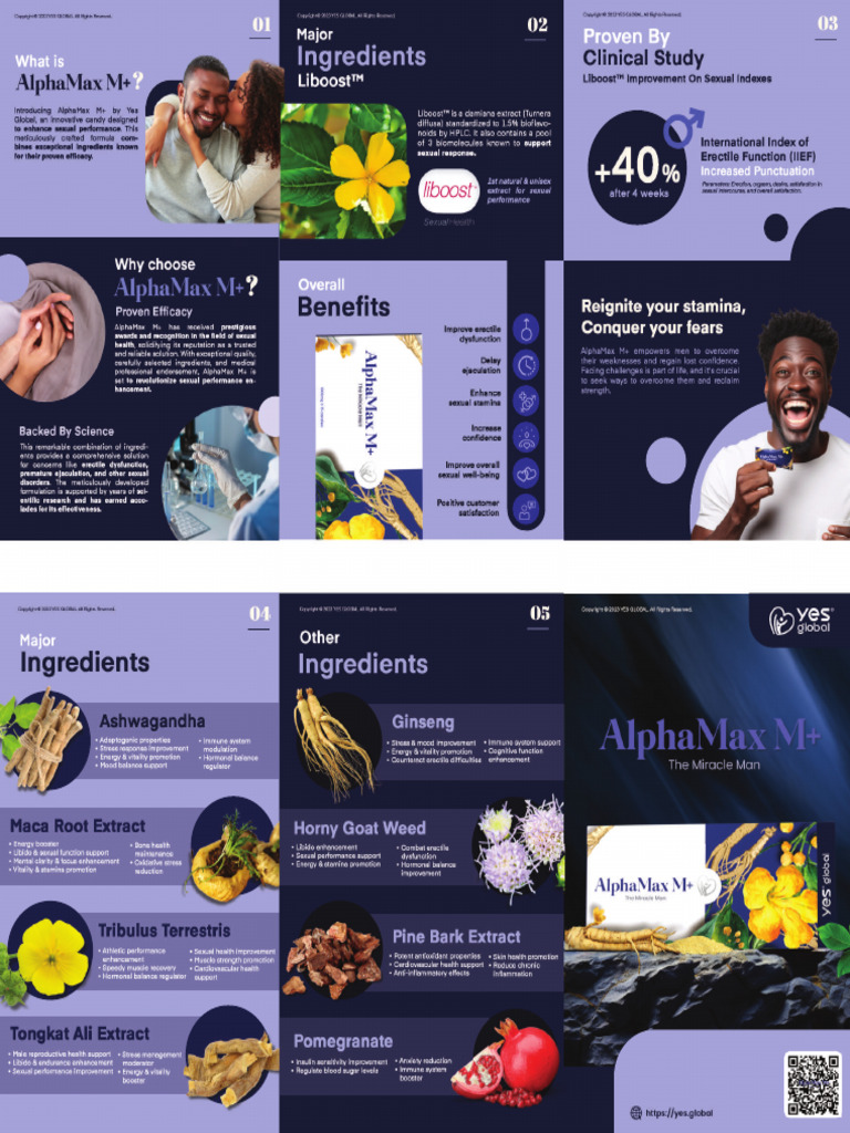 AlphaMax M - Brochure 2.0 - Compressed | PDF