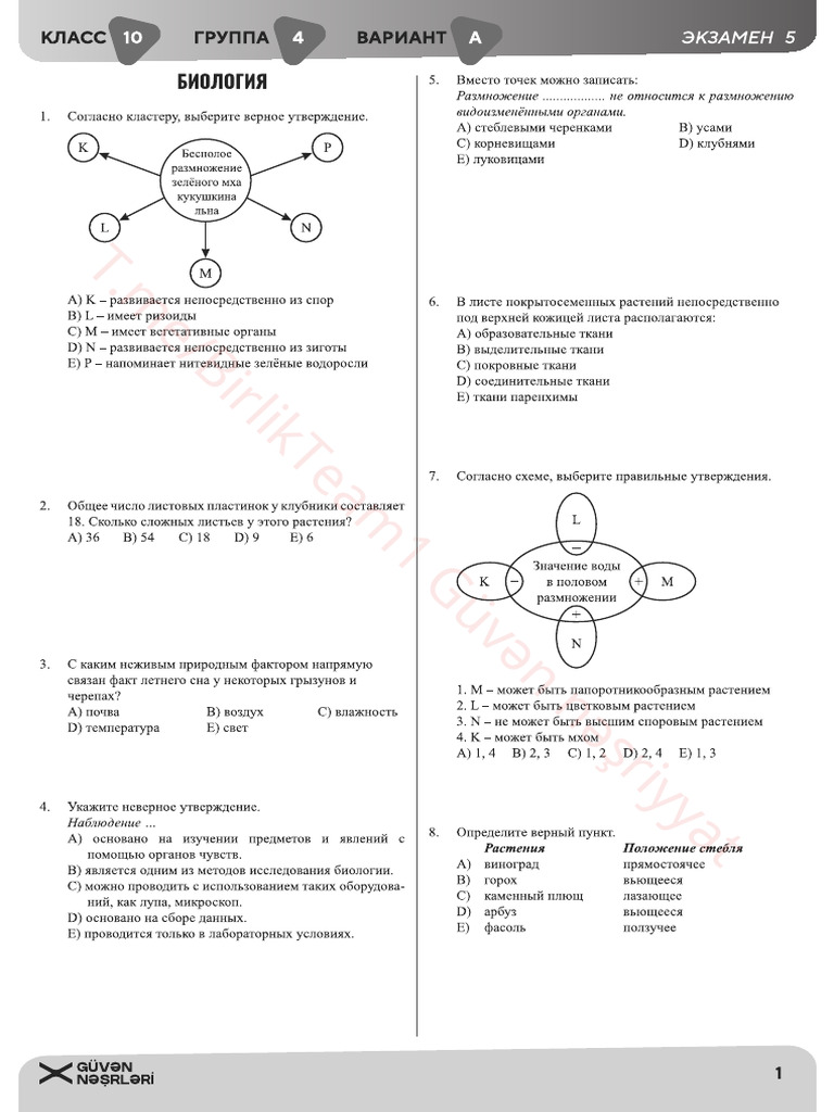 10 - 4 Rus | PDF