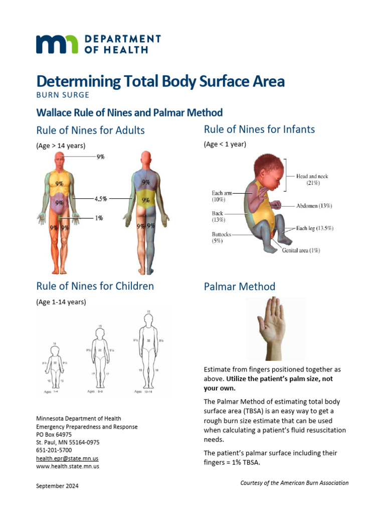 Total Body Surface Area Burn Assessment | PDF
