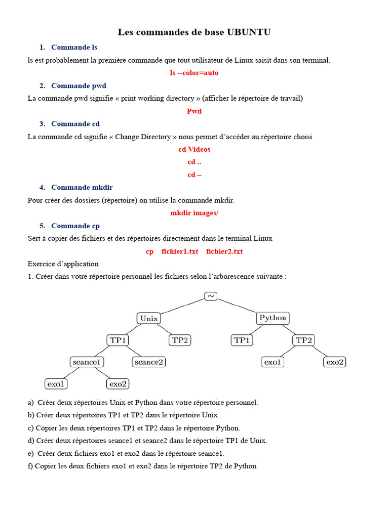 Commandes de base Ubuntu pour débutants | PDF