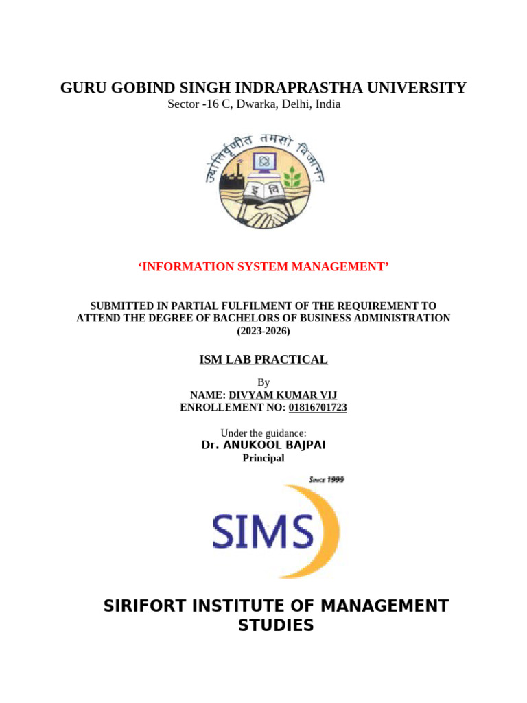 ISM Lab Project BBA 2023-2026 | PDF