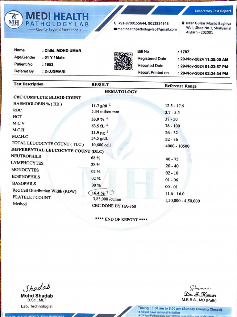 Report Test | PDF