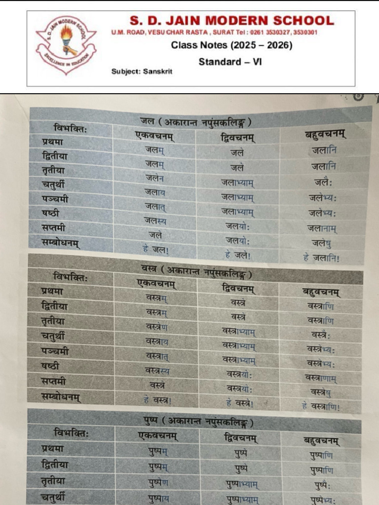 Chp 8 Akarant Napusakling Shabdroop | PDF