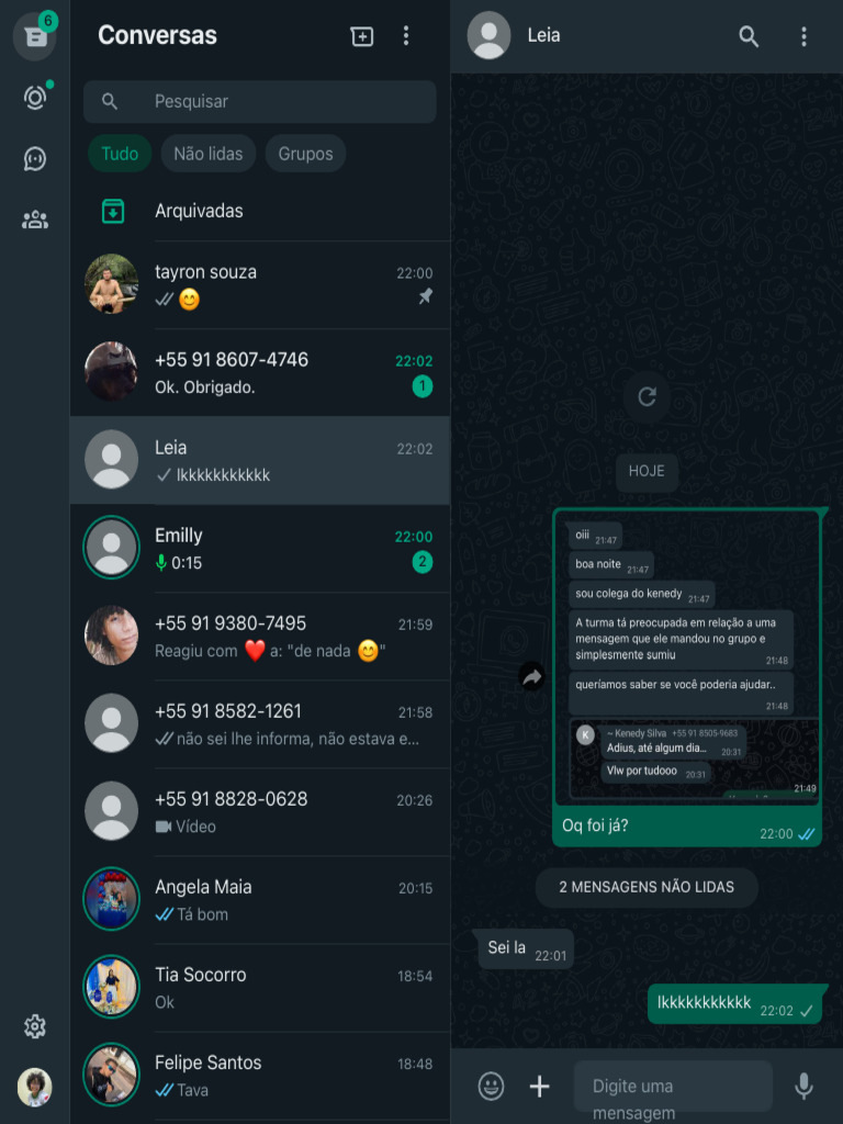 Mensagens Não Lidas e Conversas Recentes | PDF