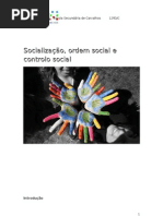 O processo de socialização11