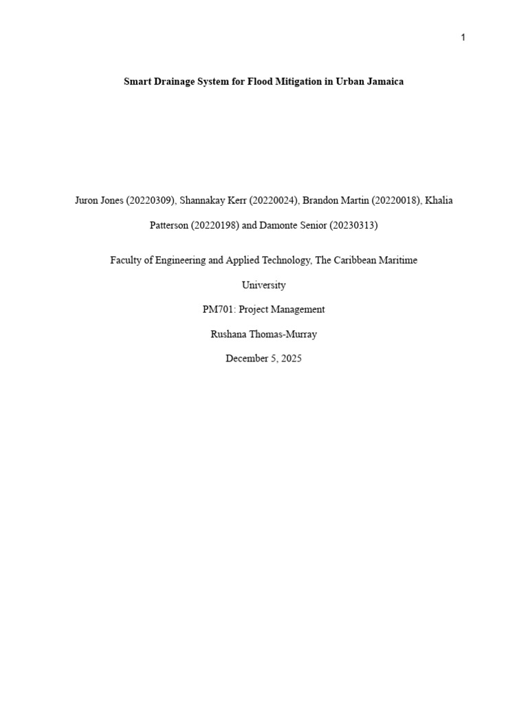 Project Management Final Project | PDF | Project Management | Internet ...