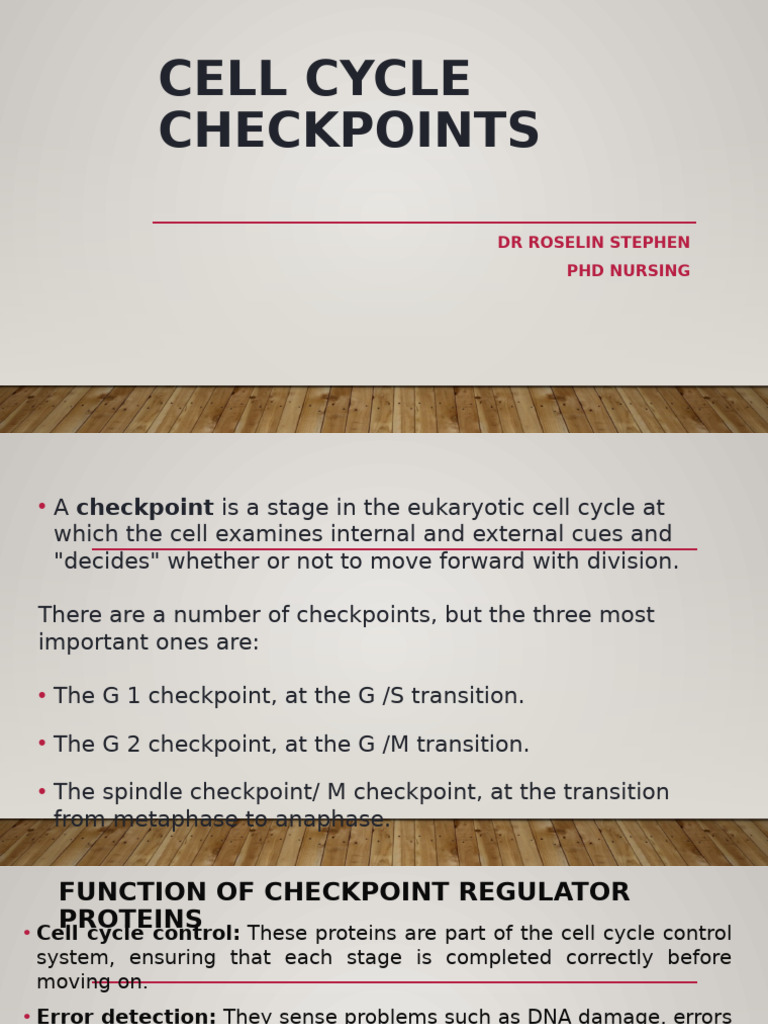 Cell Cycle Checkpoints Explained | PDF | Cell Cycle | P53