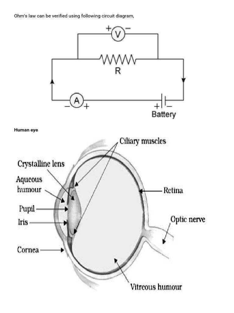 Eye Defects and Light Refraction Explained | PDF | Sunset | Rainbow