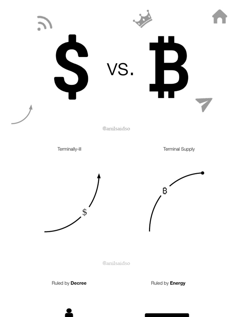 Bitcoin Vs Dollar | PDF