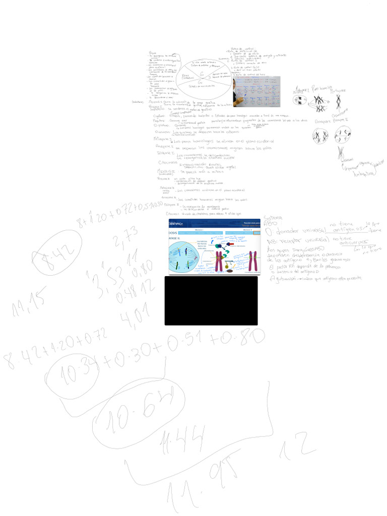 Lab Final | PDF