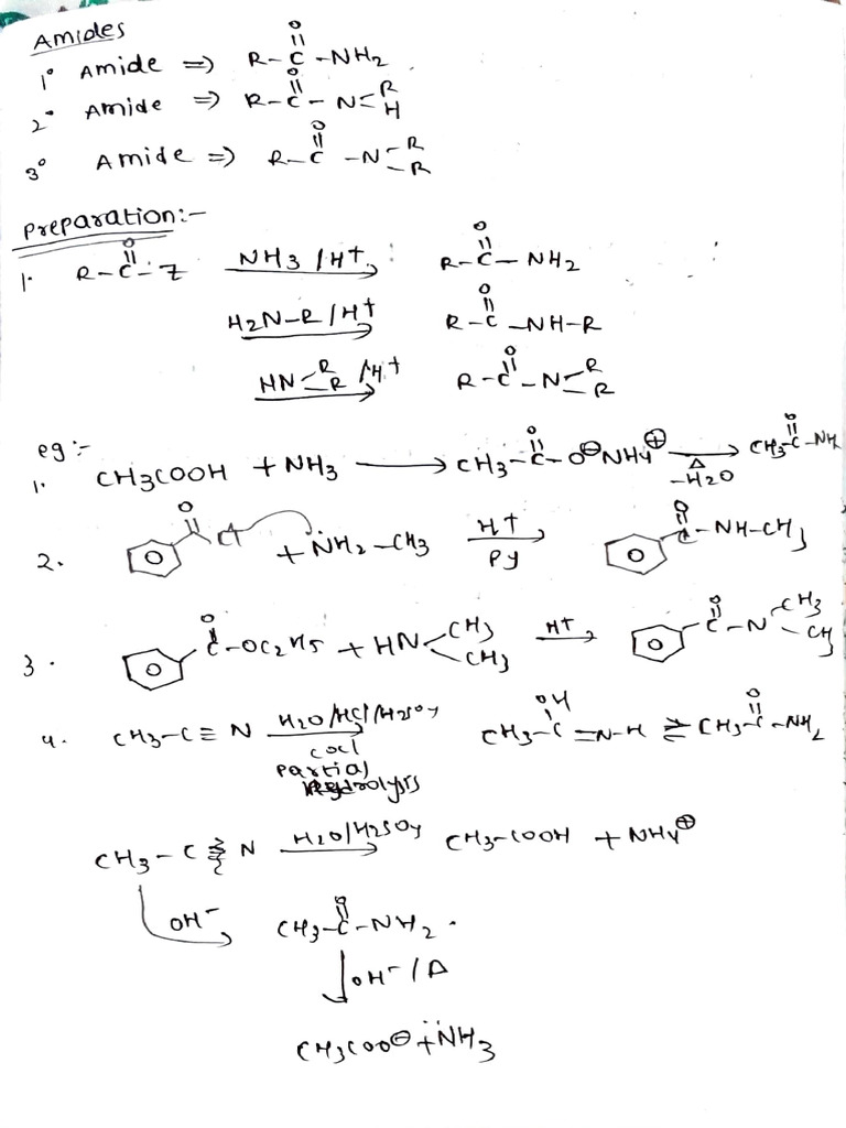 Amine Chemistry and Reactions Overview | PDF | Carbon Compounds ...