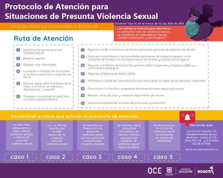 Protocolo de Atención a Violencia Sexual NNJA | PDF | Violencia sexual ...