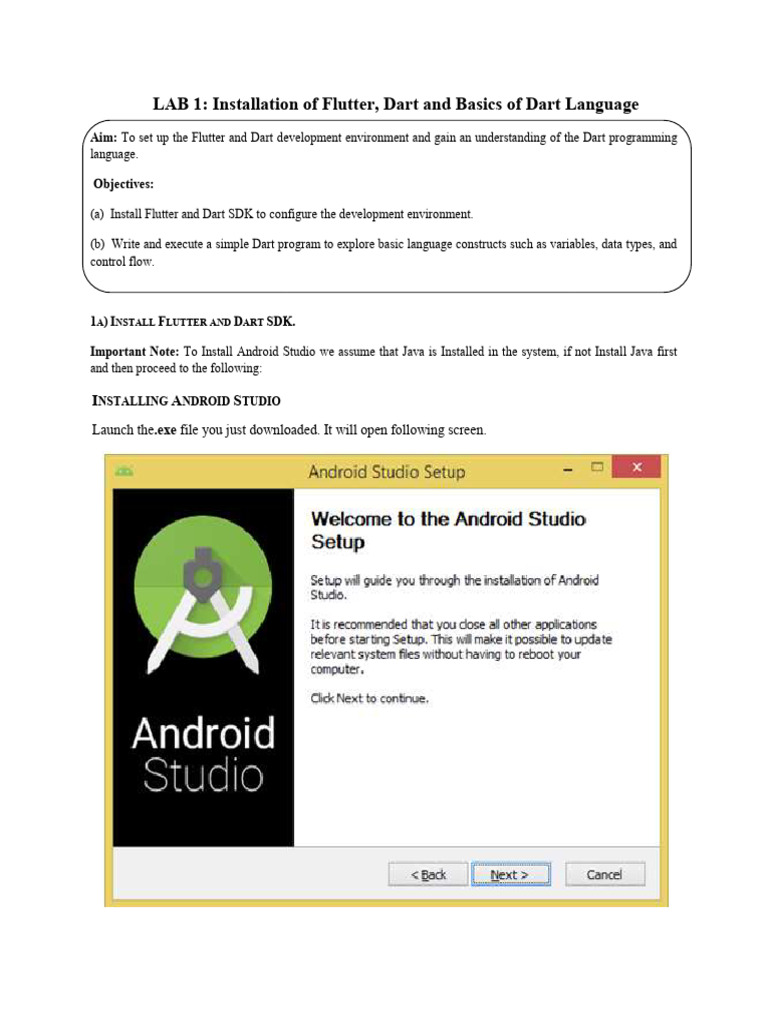 Flutter & Dart Setup Guide | PDF | Java (Programming Language ...