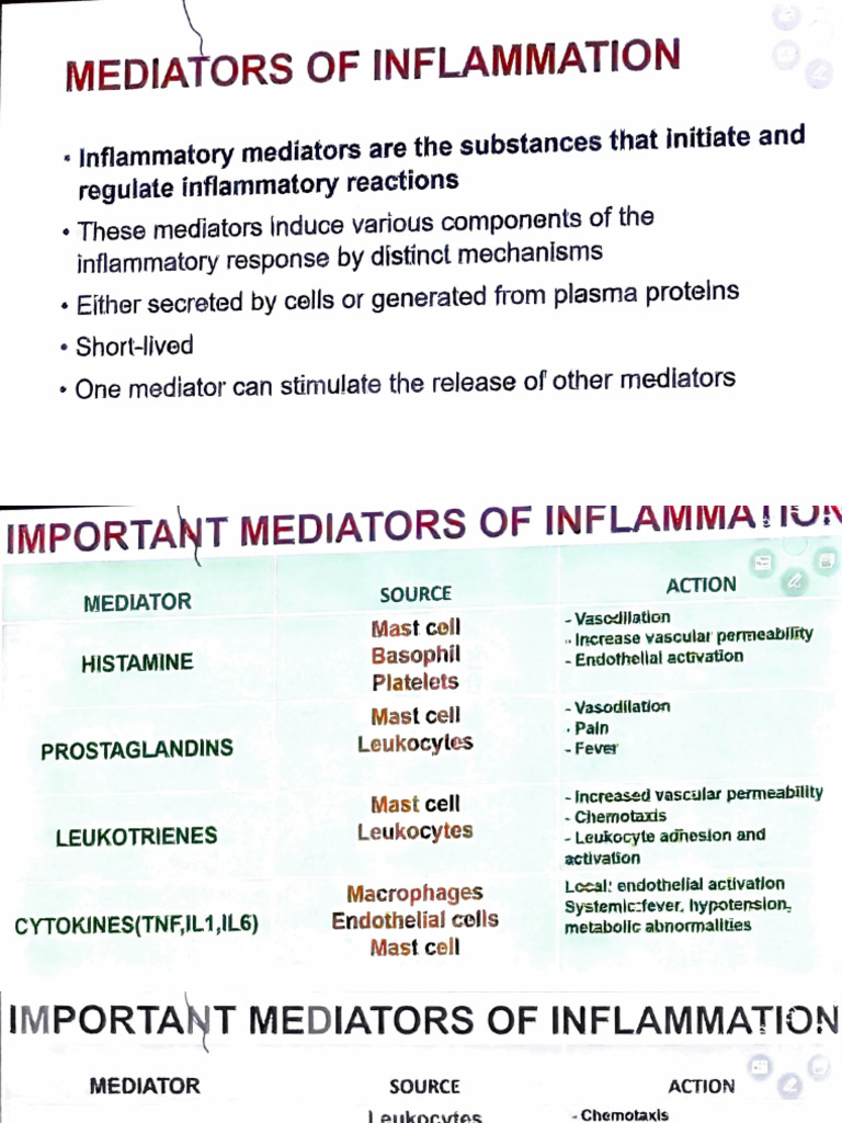 Mediators of Inflammation | PDF