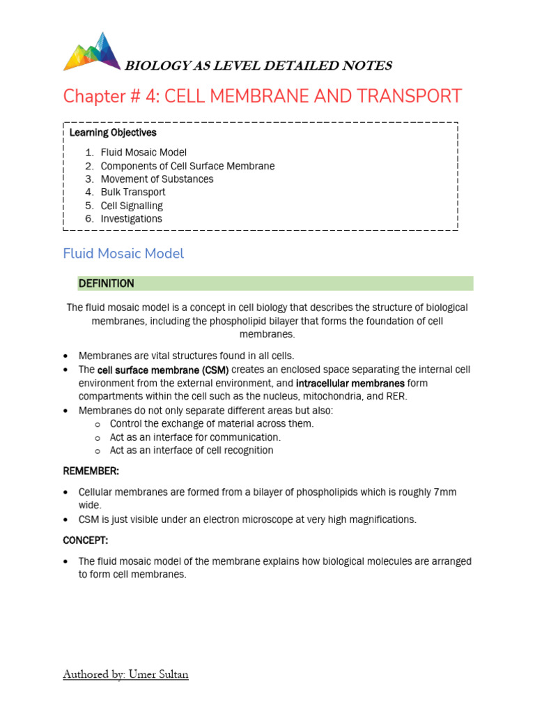 As Bio - Chapter 4 - Cell Membrane and Transport | PDF | Cell Membrane ...