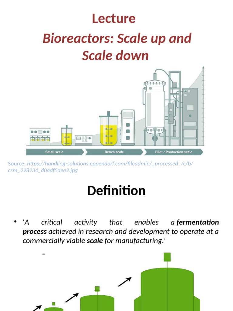 Bioreactor Scale-Up and Scale-Down Strategies | PDF | Chemistry ...