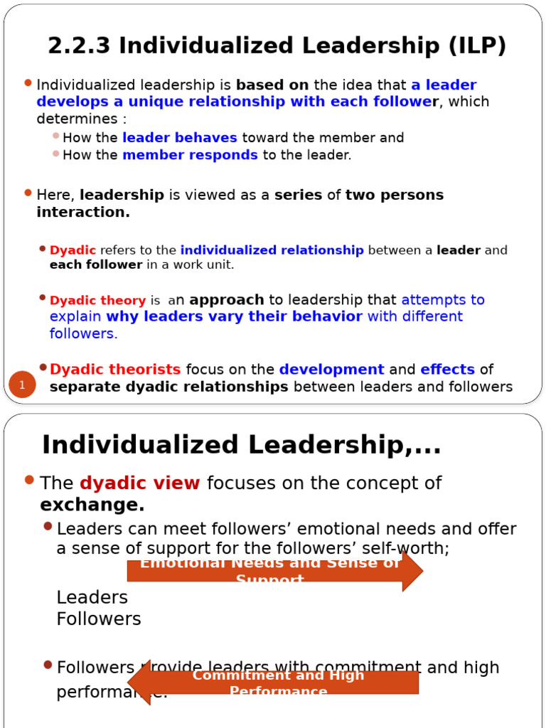 Understanding Individualized Leadership | PDF | Leadership | Social ...