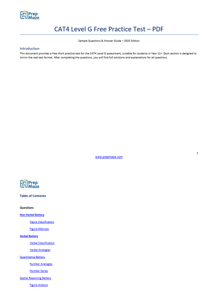 Cat4 Level G PDF | PDF | Matrix (Mathematics) | Shape