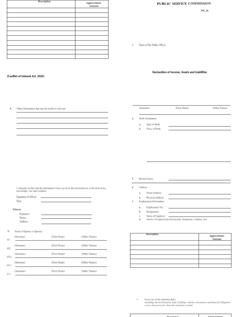 Income and Asset Declaration Form | PDF