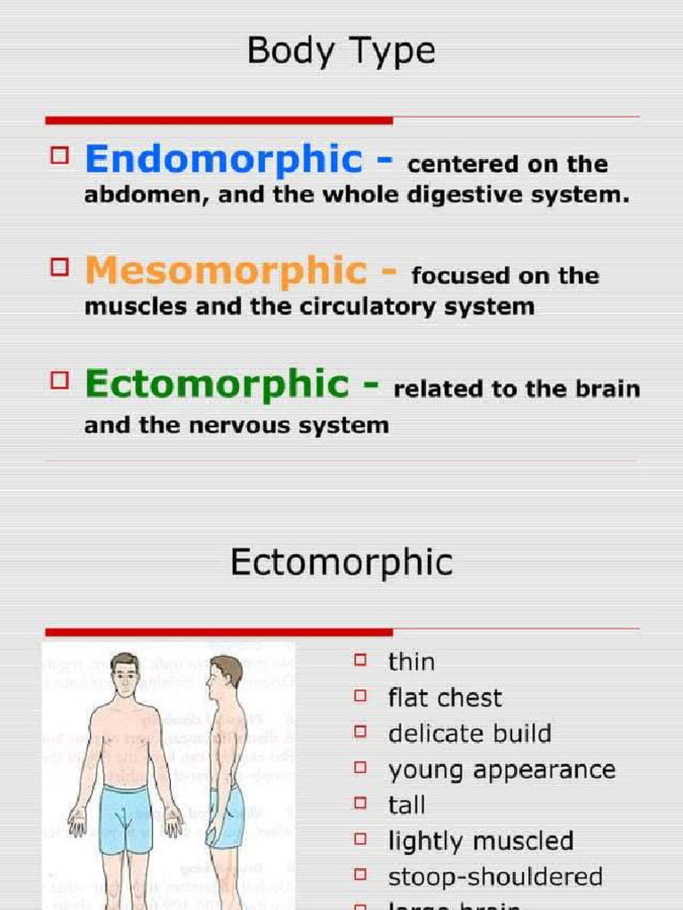 Body Types | PDF