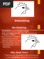 Chicken Debeaking: Methods & Benefits | PDF | Beak | Poultry Farming