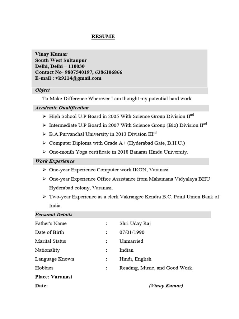 Vinay Kumar's Professional Resume | PDF