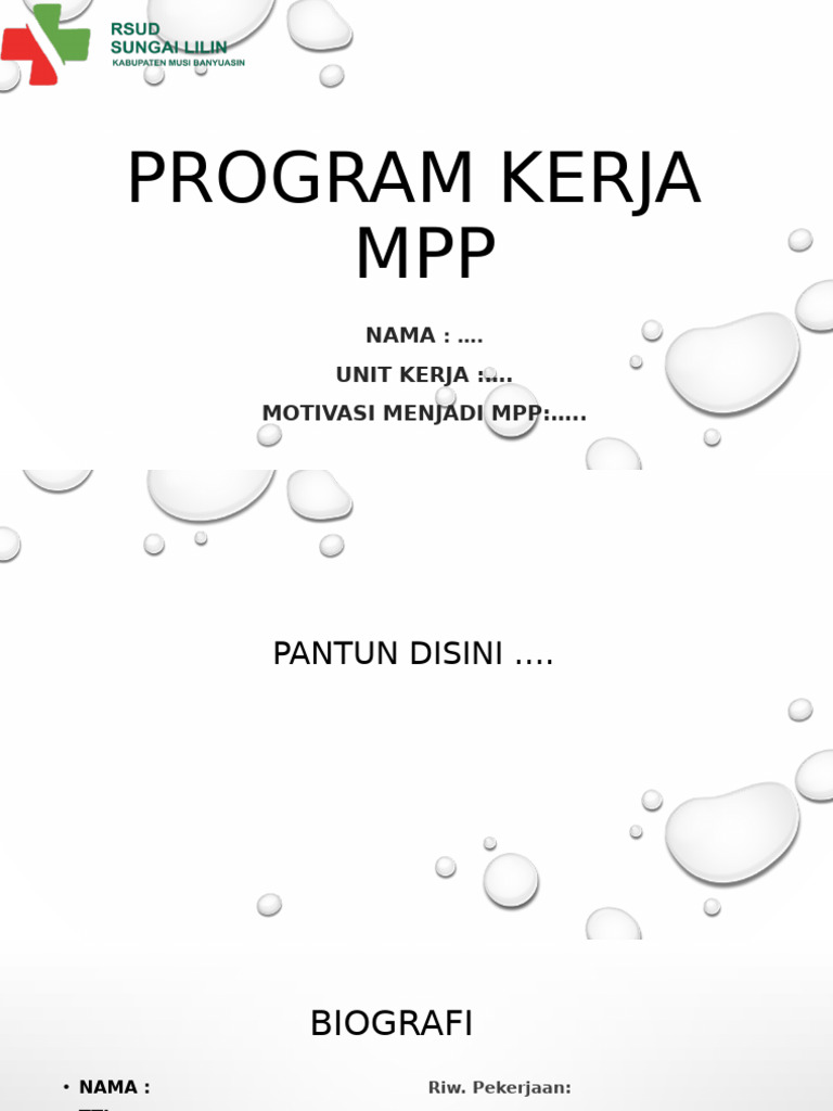 Program Kerja MPP di RSUD Sungai Lilin | PDF