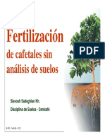 Fertilizacion Cultivo Cafe Sin Analisis de Suelos